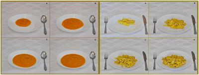 The Development and Validation of Food Atlas for Portion Size Estimation in the Balkan Region